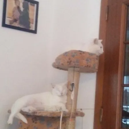 Sousa House 홈스테이 *